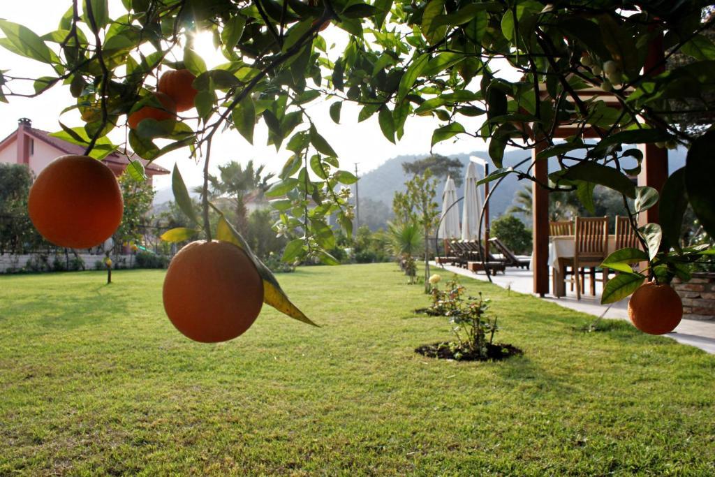 Gocek Arion Hotel Eksteriør billede